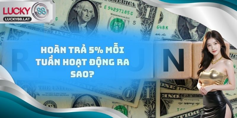 Hoàn trả 5% mỗi tuần hoạt động ra sao?